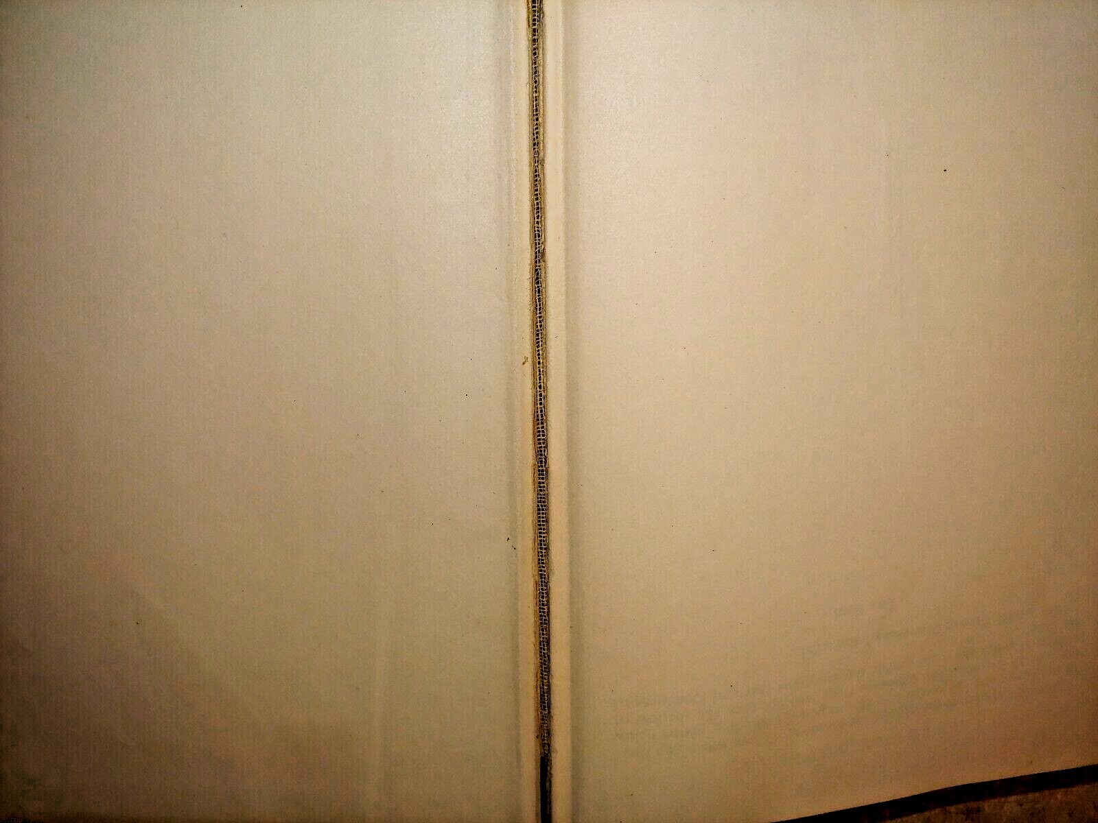 (Antique Books) Anthony Adverse by Hervey Allen 1933 character born into a noble