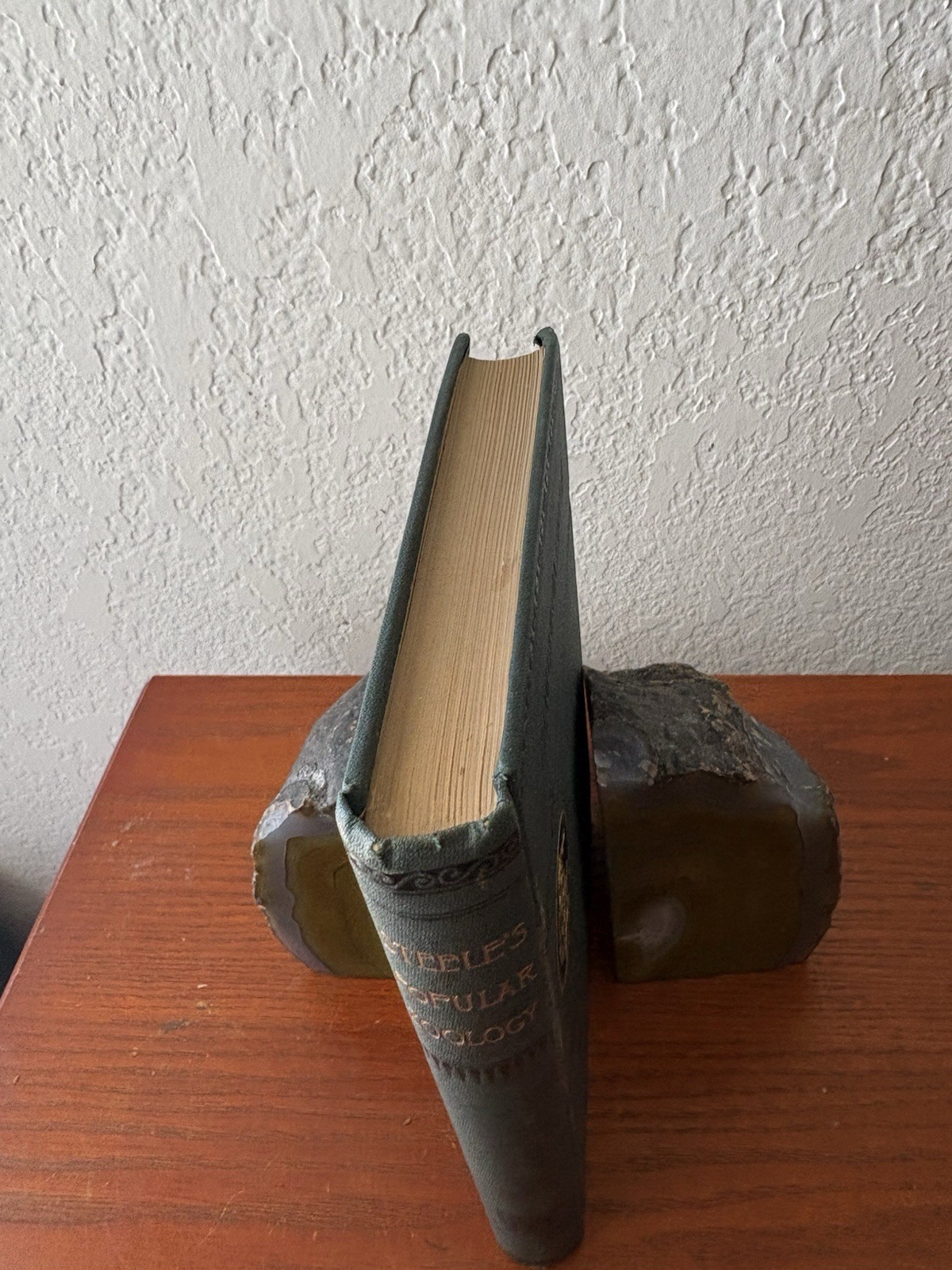 Steele’s Popular Zoology 1887 HC First Edition Chautauqua ED VG Vintage Cond