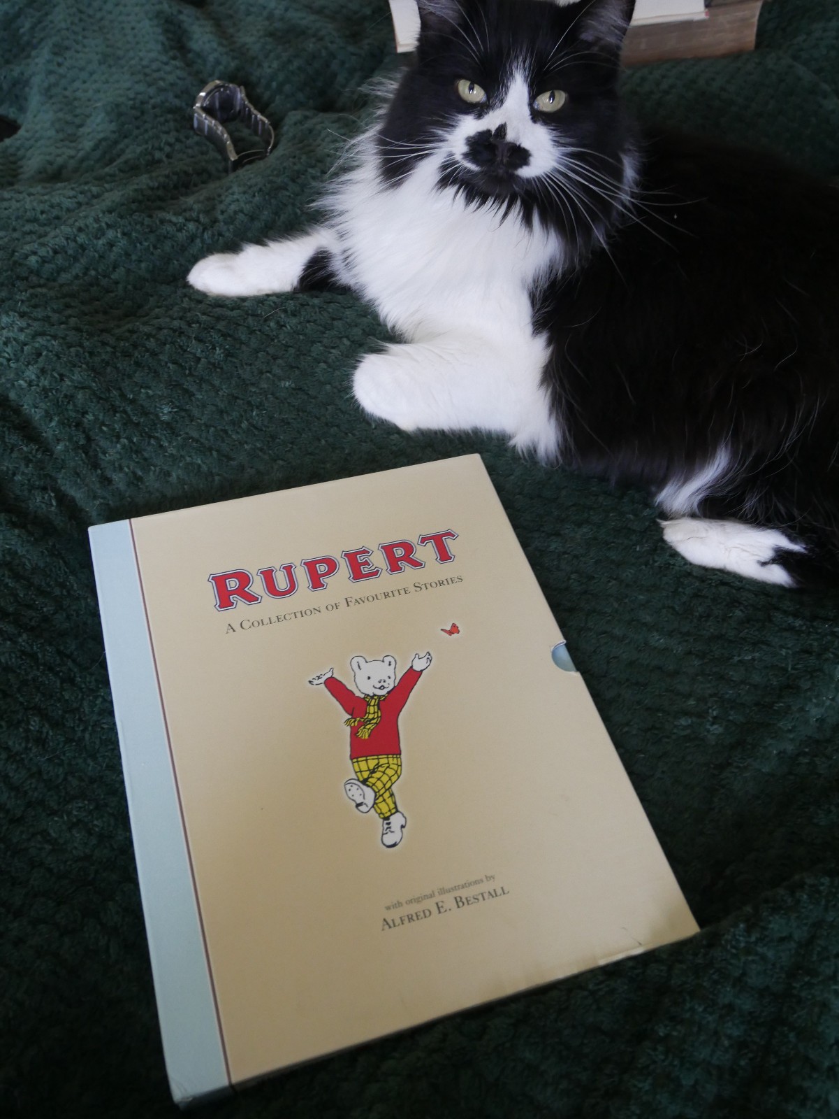 Rupert: A Collection of Favourite Stories illus. by Alfred E. Bestall (Egmont)