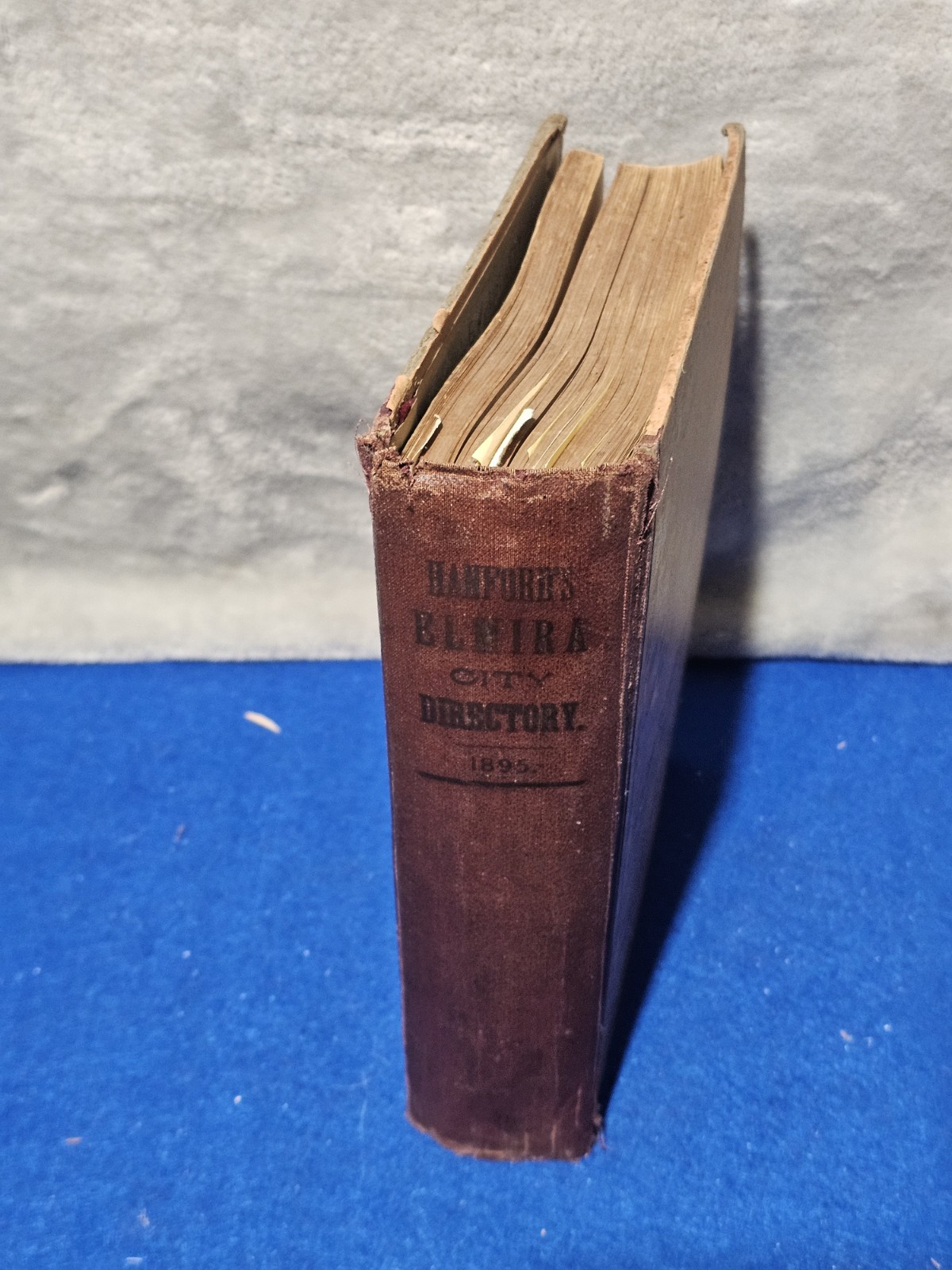 Antique 1895 Elmira NY City Directory Hanford Genealogy Business Ads New York