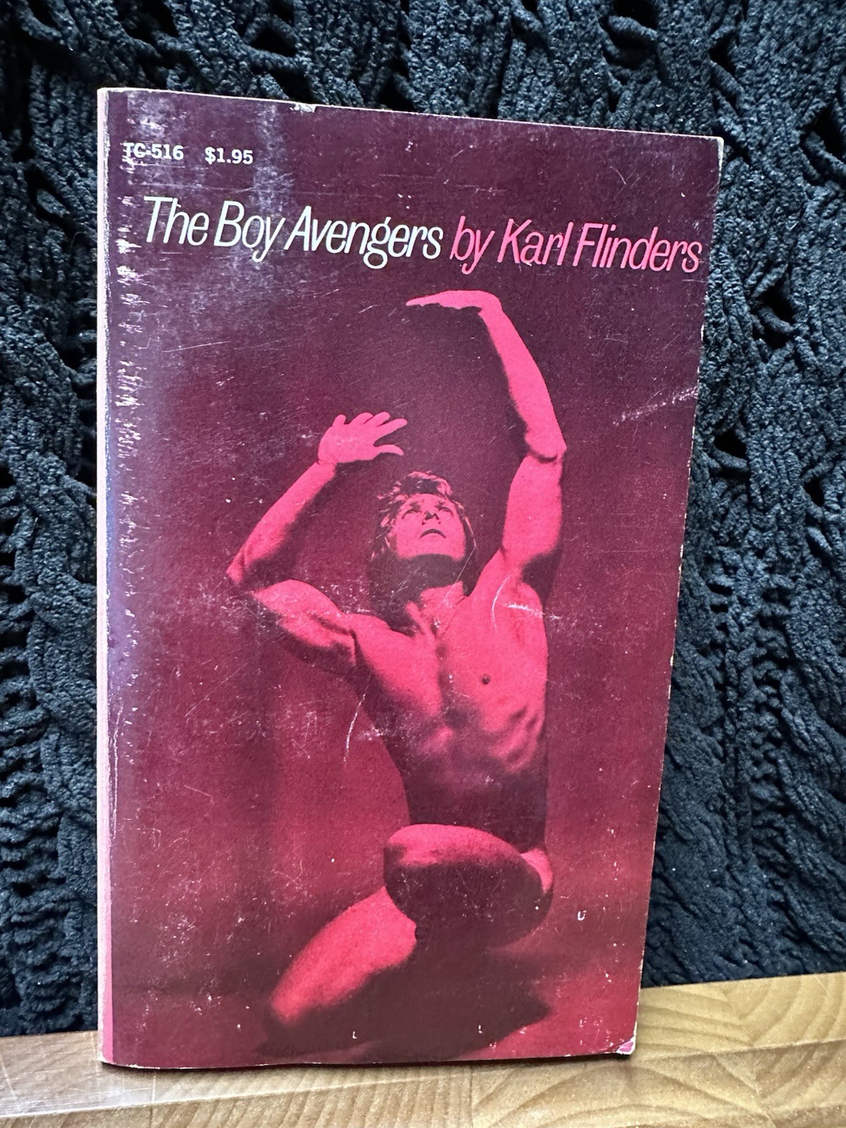 The Boy Avengers by Karl Flizoers – 1971 Paperback – Vintage LGBT Literature