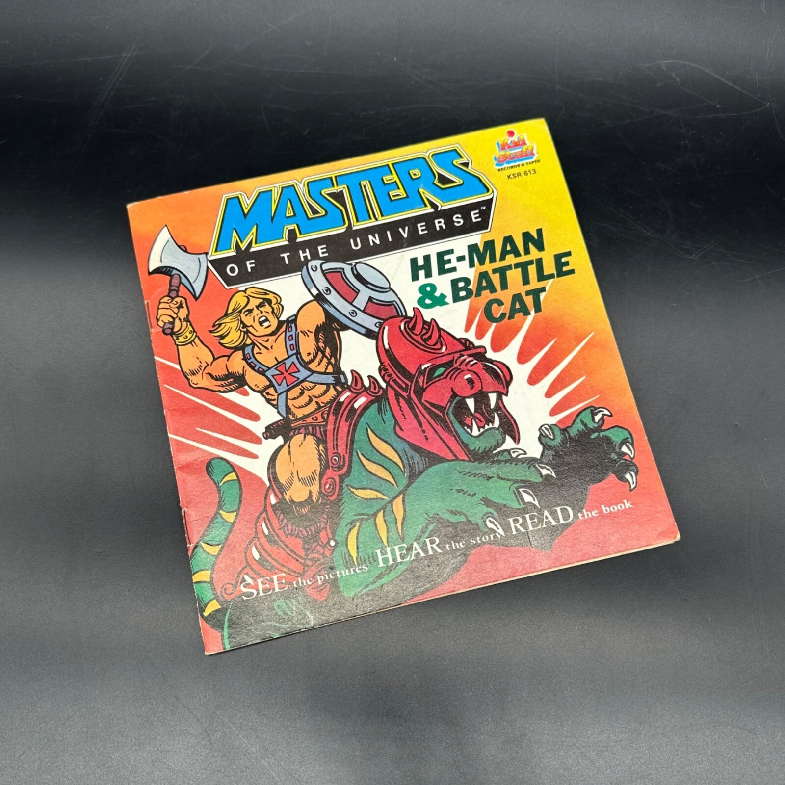 Vintage Masters Of The Universe 1983 He Man Battle Cat Talking Story Book ONLY