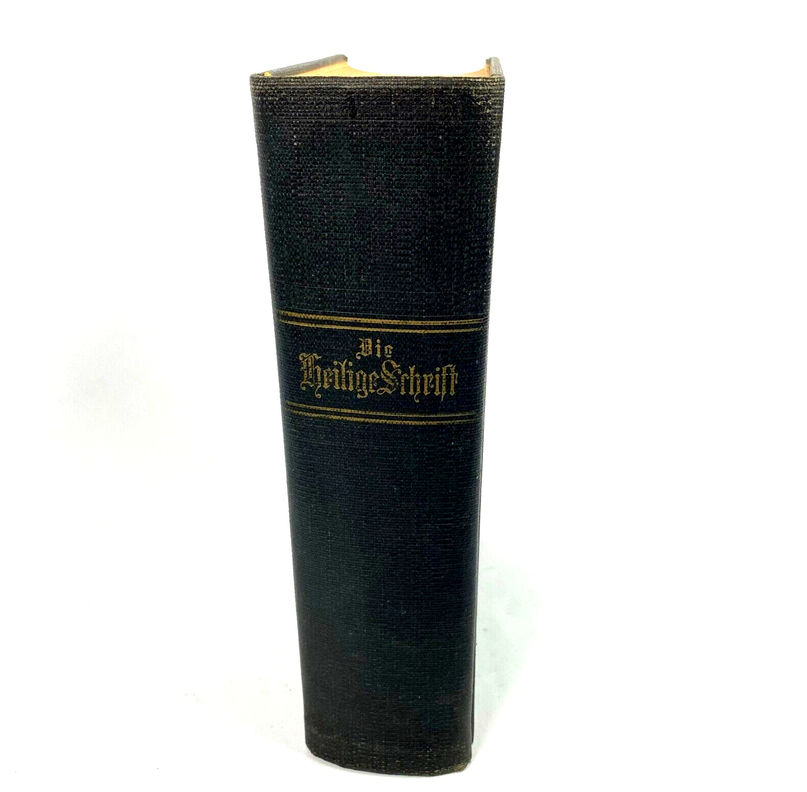 Dr. Martin Luthers German Bible Die Bibel Heilige Schrift Vintage