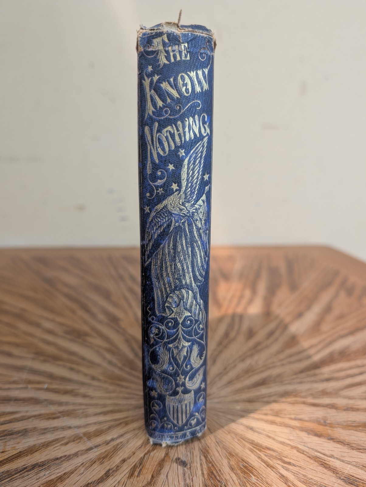 1855 The Know Nothing – Rare Political Book – American Party