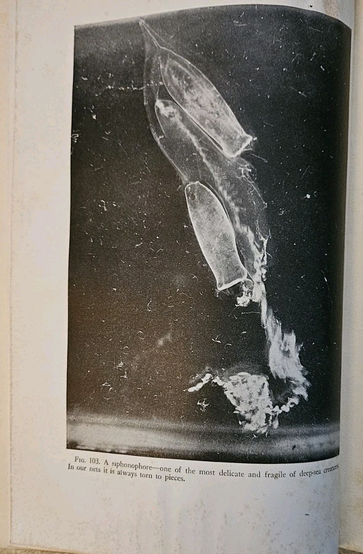 Half Mile Down William Beebe 1934 Bathysphere Deep Sea Exploration Bermuda