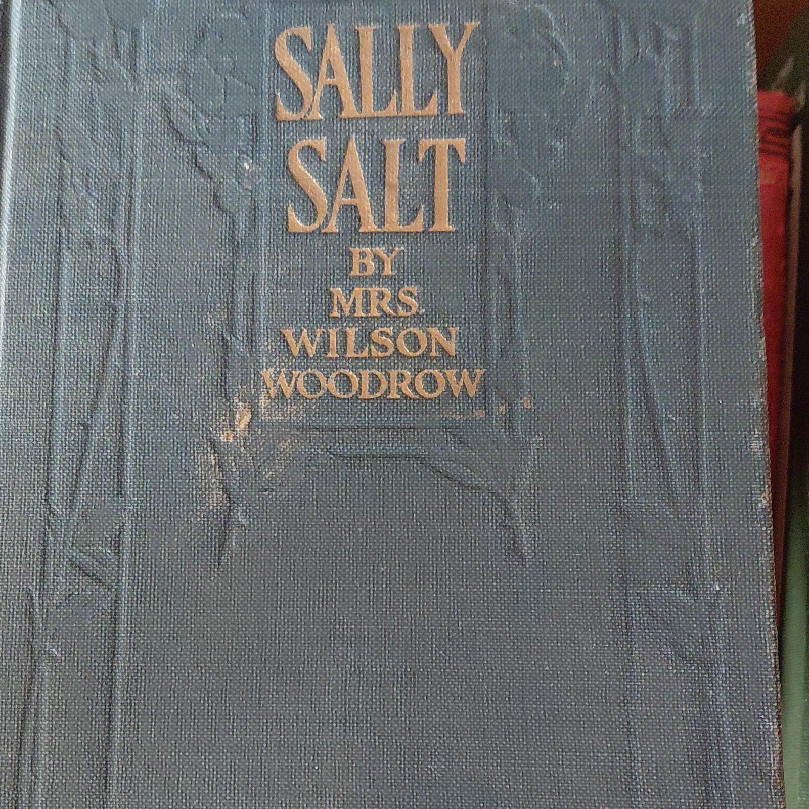 Sally Salt Mrs. Wilson Woodrow Syndicate Pub 1912 Illustrated Hardcover