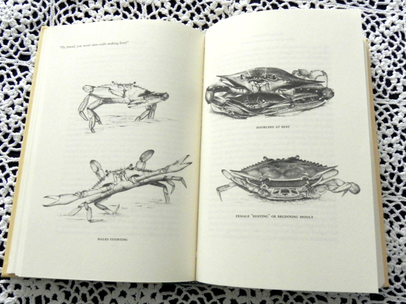 SIGNED INSERT Beautiful Swimmers by William W. Warner Chesapeake Bay Pulitzer