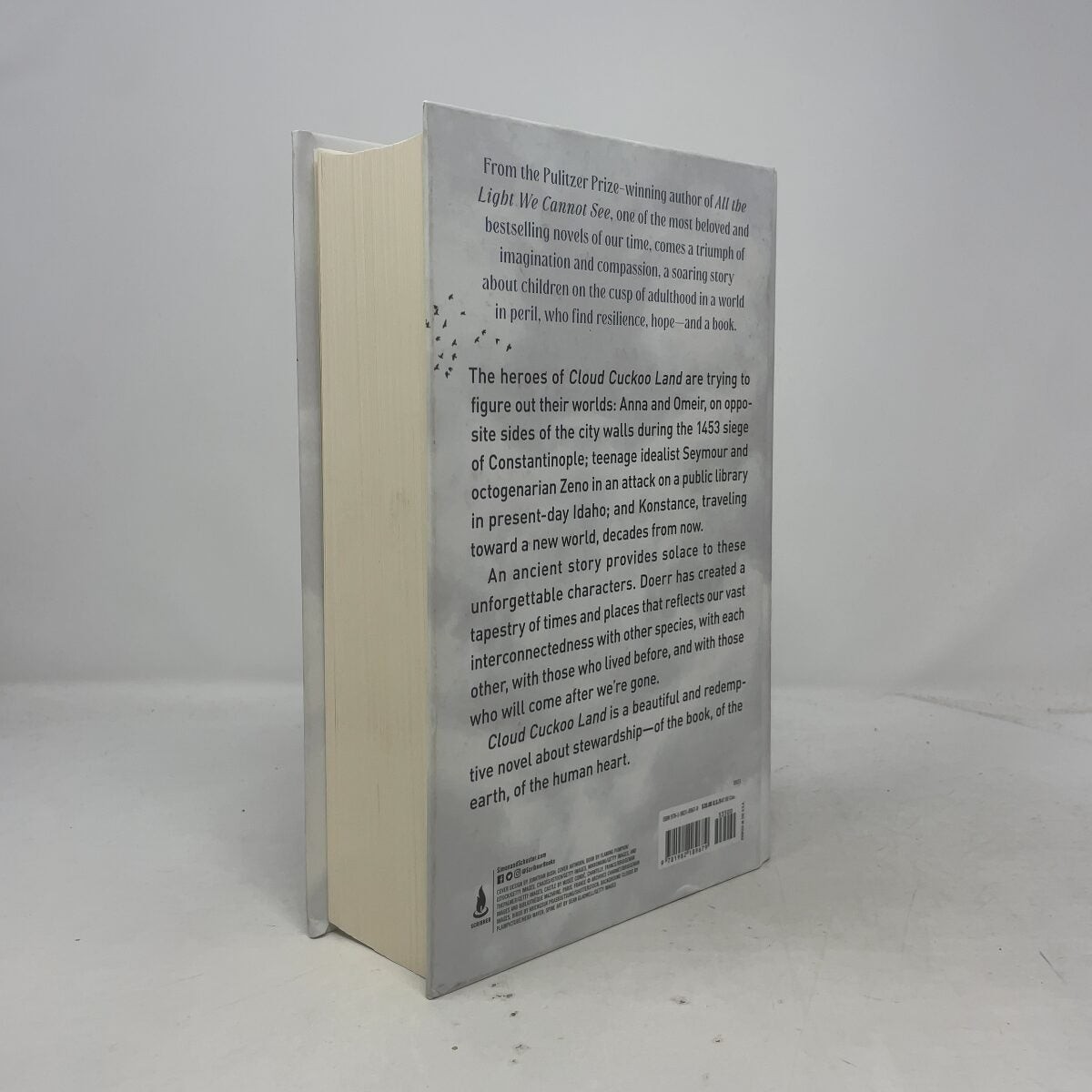 Cloud Cuckoo Land (Large Print Edition) by Doerr, Anthony HC First Edition Like