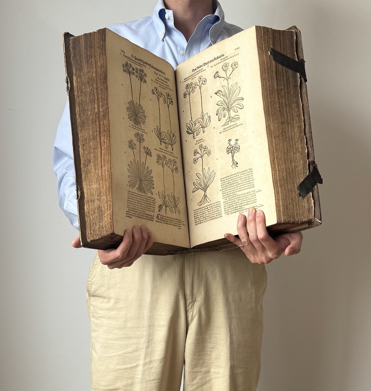 *RARE* German Herbal Antiquarian Book Tabernaemontanus (1664) – 2400+ Woodcuts!