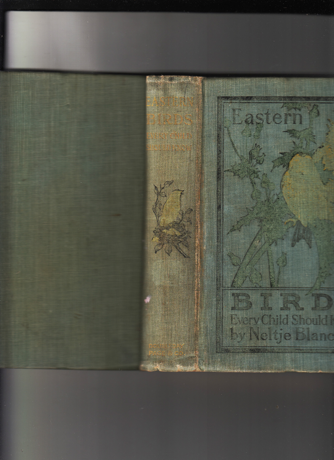 EASTERN BIRDS EVERY CHILD SHOULD KNOW NELTJE BLANCHAN. 1907, PHOTOBOOK. HB. VG