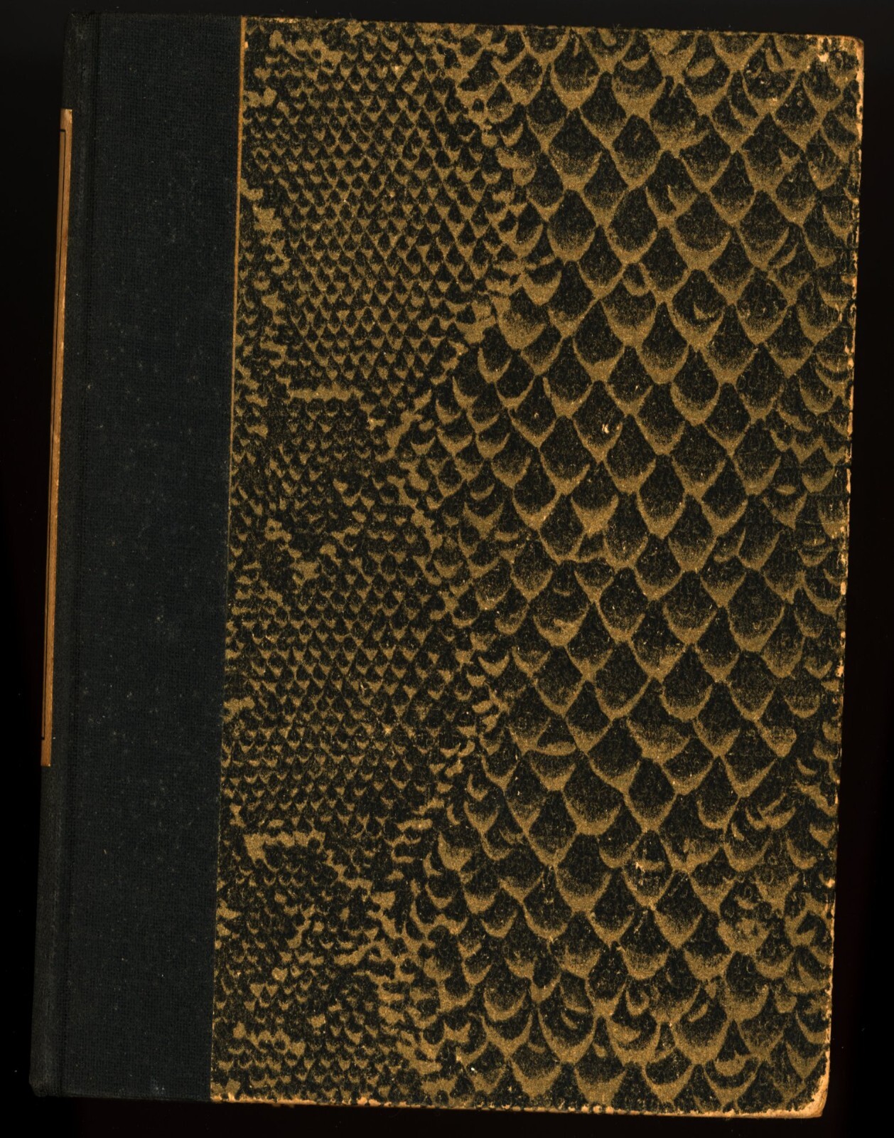 A Bed of Feathers by Rhys David [first edition]