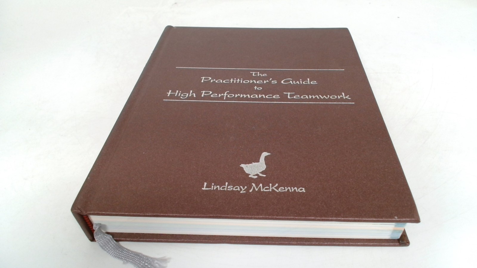 The Practitioners Guide To High Performance Teamwork, Lindsay McK