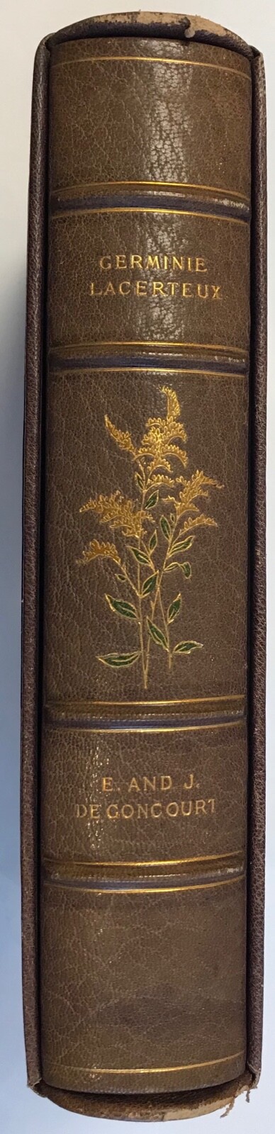 Edmund and Jules De Goncourt Germinie Lacerteux George Barrie #1/10 1897
