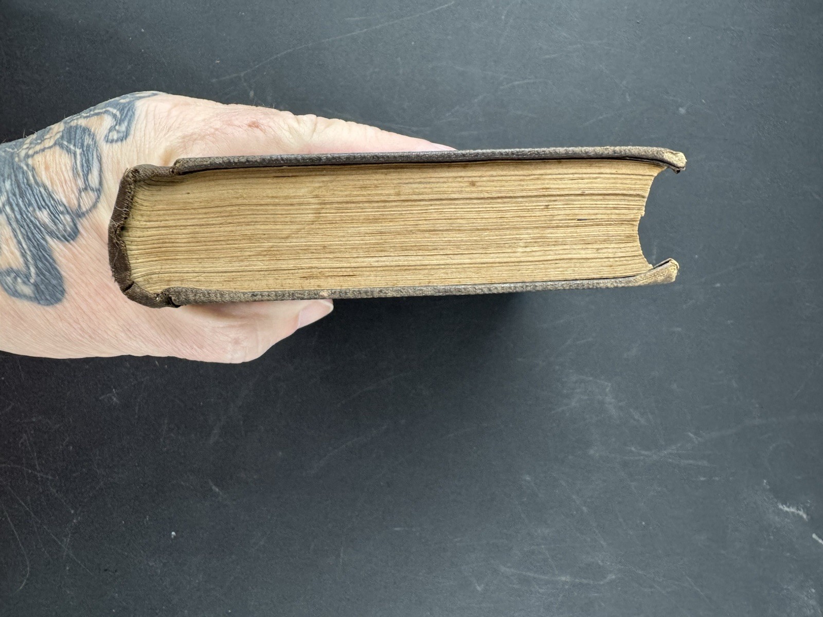 The Constitution of Man in Relation to External Objects by George Combe 1856
