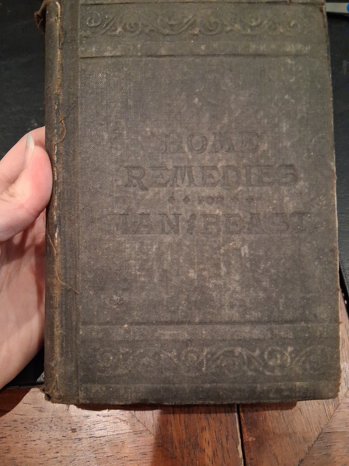 RARE Home Remedies for Man and Beast Jefferis & Davis 1893 Household Guide