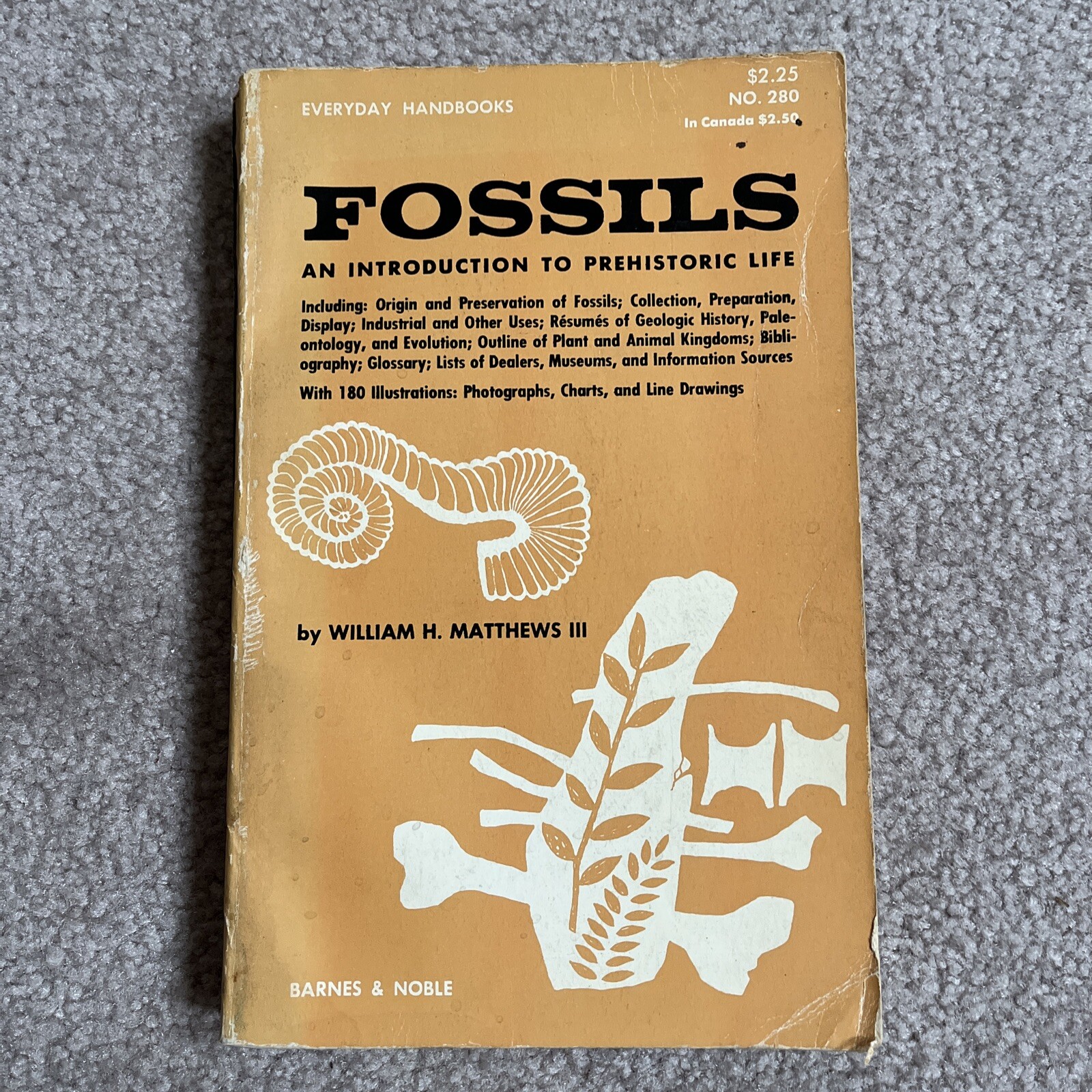 Fossils An Introduction to Prehistoric Life William H. Matthews Vintage PB Every