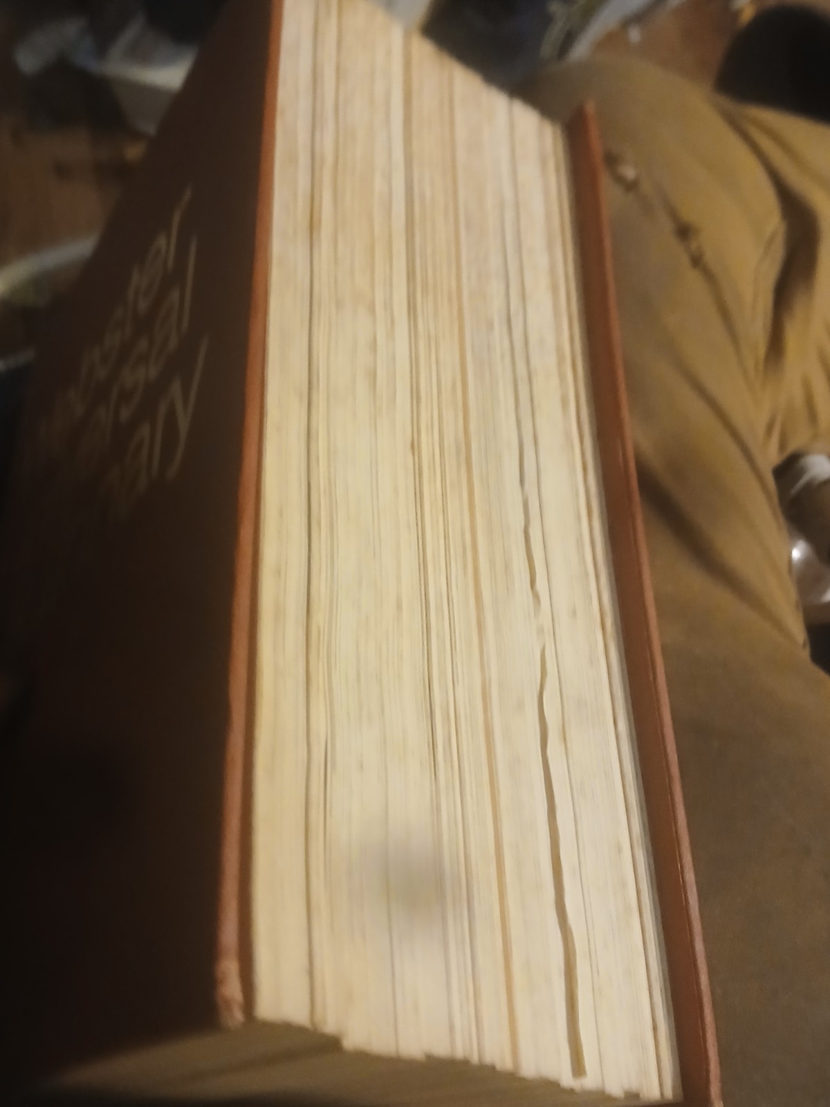 Webster Universal Dictionary Unabridged International Edition Color Illustrated