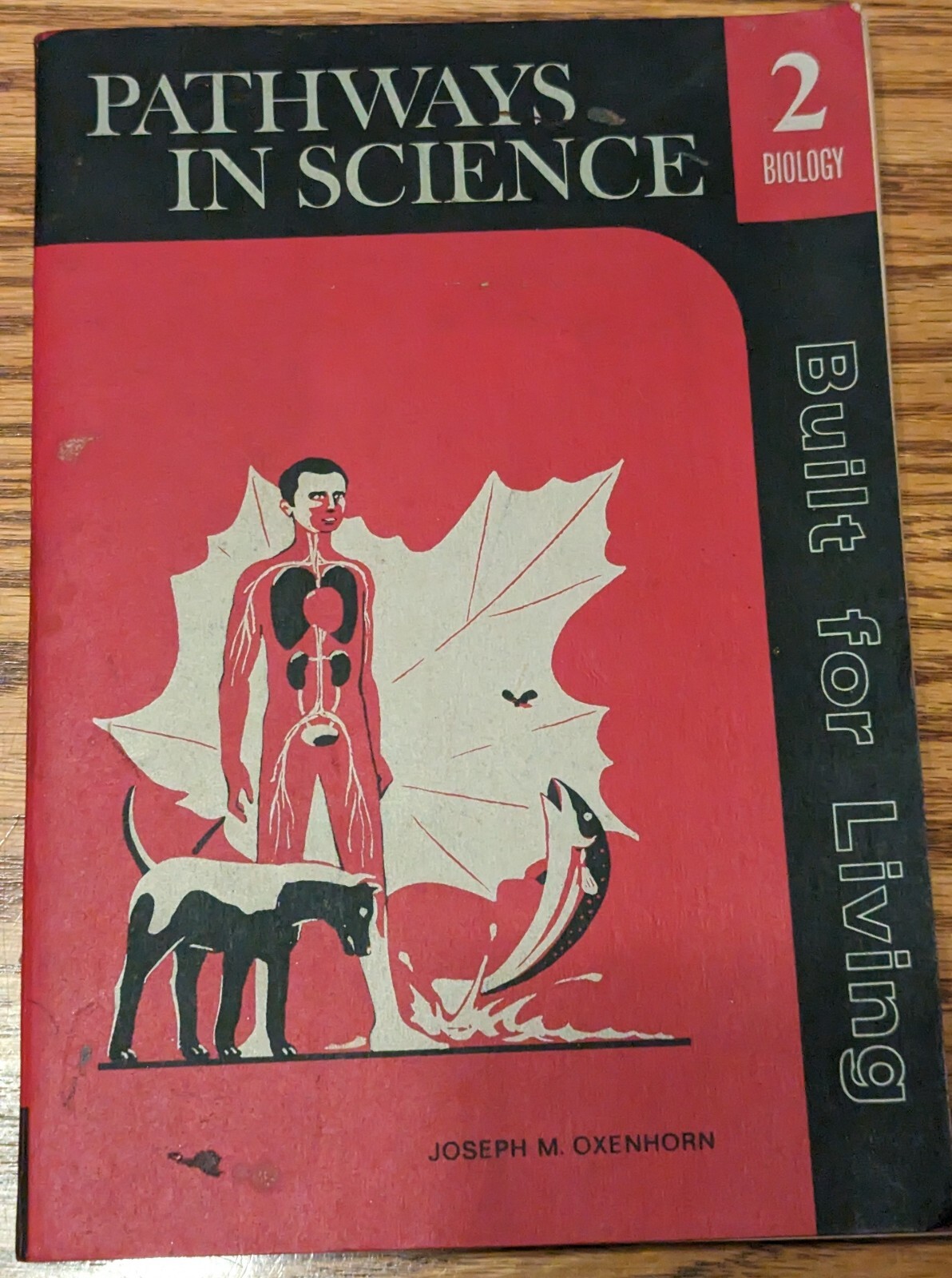 Pathways In Science Softcover Book 1969