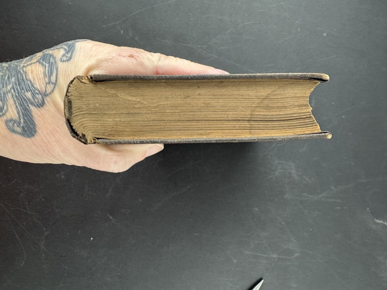 The Constitution of Man in Relation to External Objects by George Combe 1856