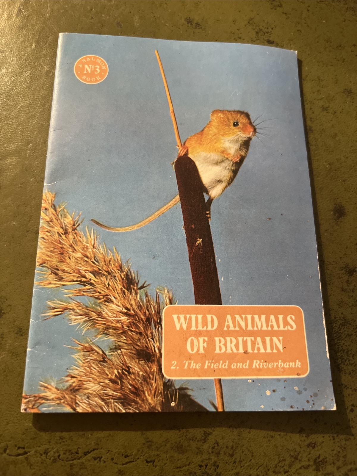 Wild Animals Of Britain 2. The Field & Riverbank J. Salmon Ltd Small Paperback