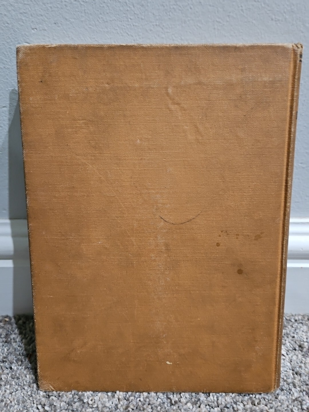 RARE VINTAGE 1918 „The Heart of a Boyhood“ by Edmondo de Amicis HC