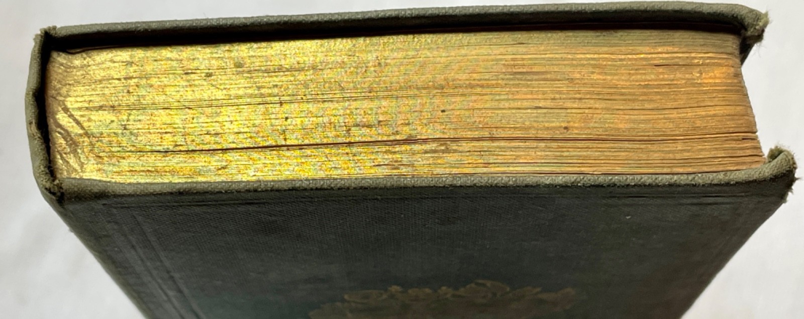1838 Natural History Botany Field Garden Woodland Illustrated Charles Knight