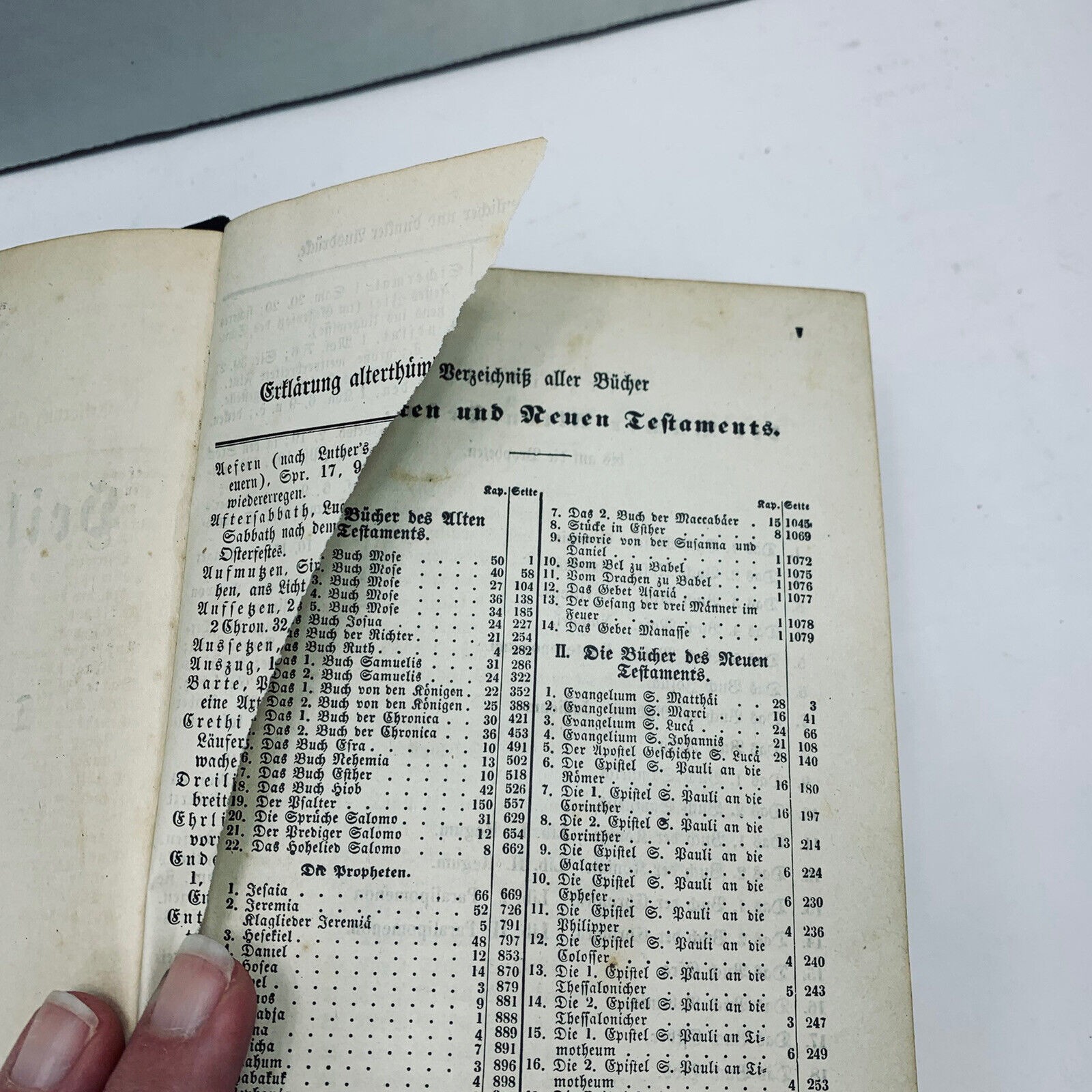 German Language Bible Die Heilige Schrift Martin Luther Antique Book