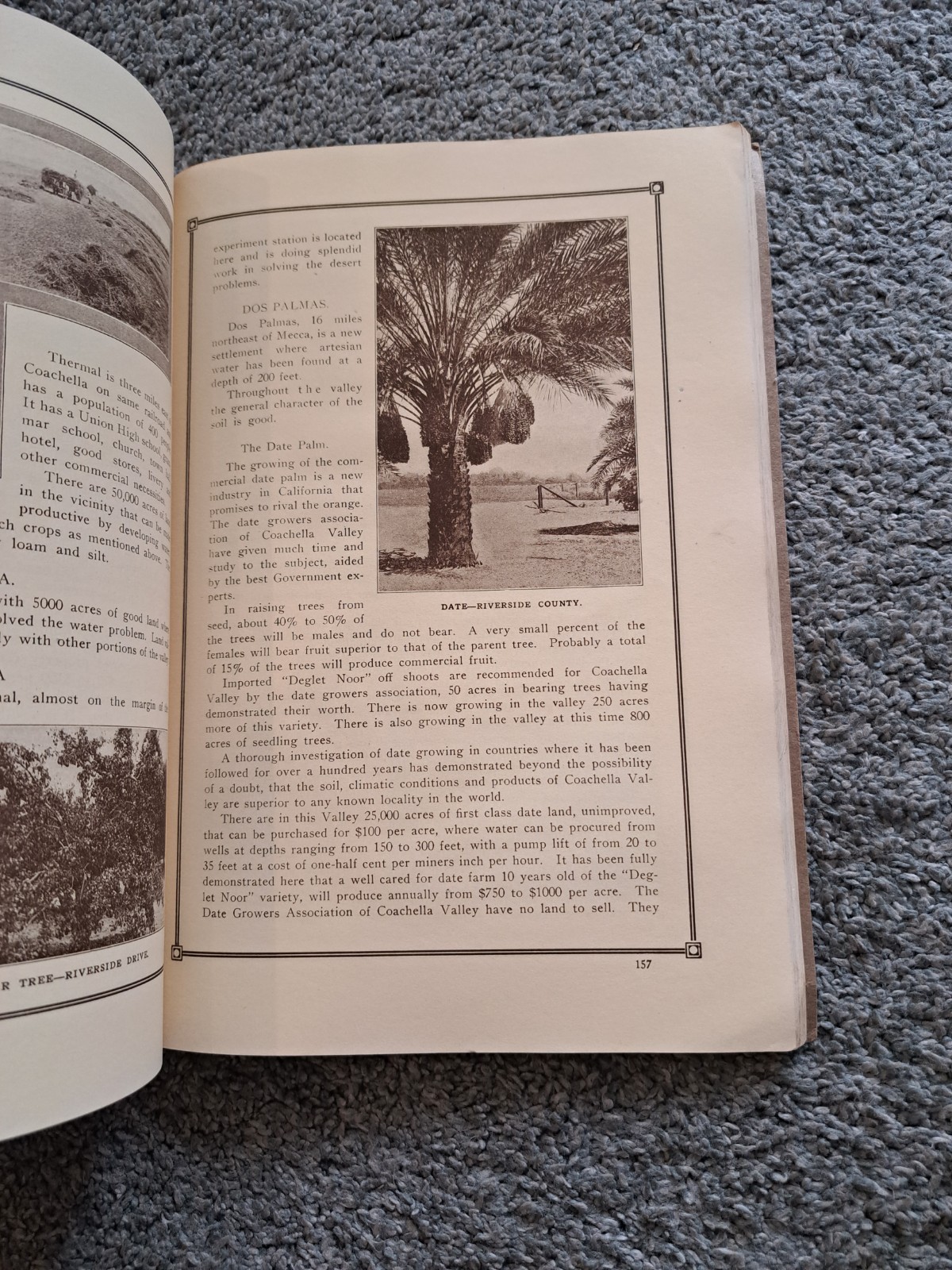 Southern California Panama Exposition Book 1914 Los Angeles San Diego Ventura