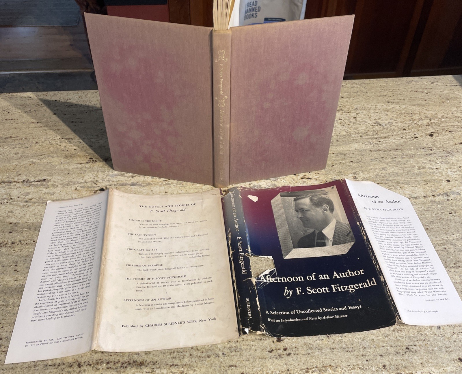 Lot (3) F. Scott Fitzgerald Books – Bits of Paradise, Crazy Sundays & Stories HC
