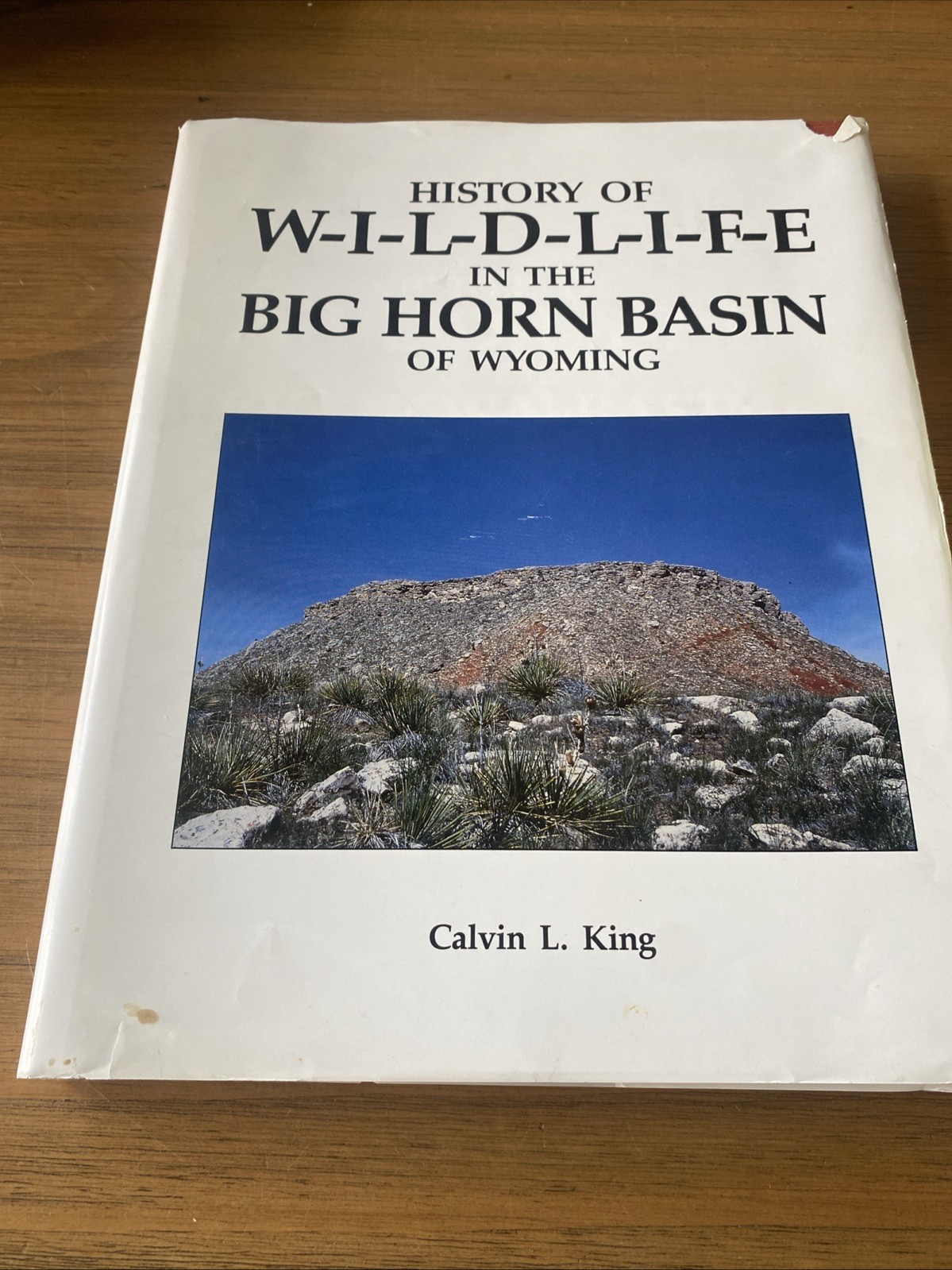 History Of Wildlife In The Big Horn Basin Of Wyoming