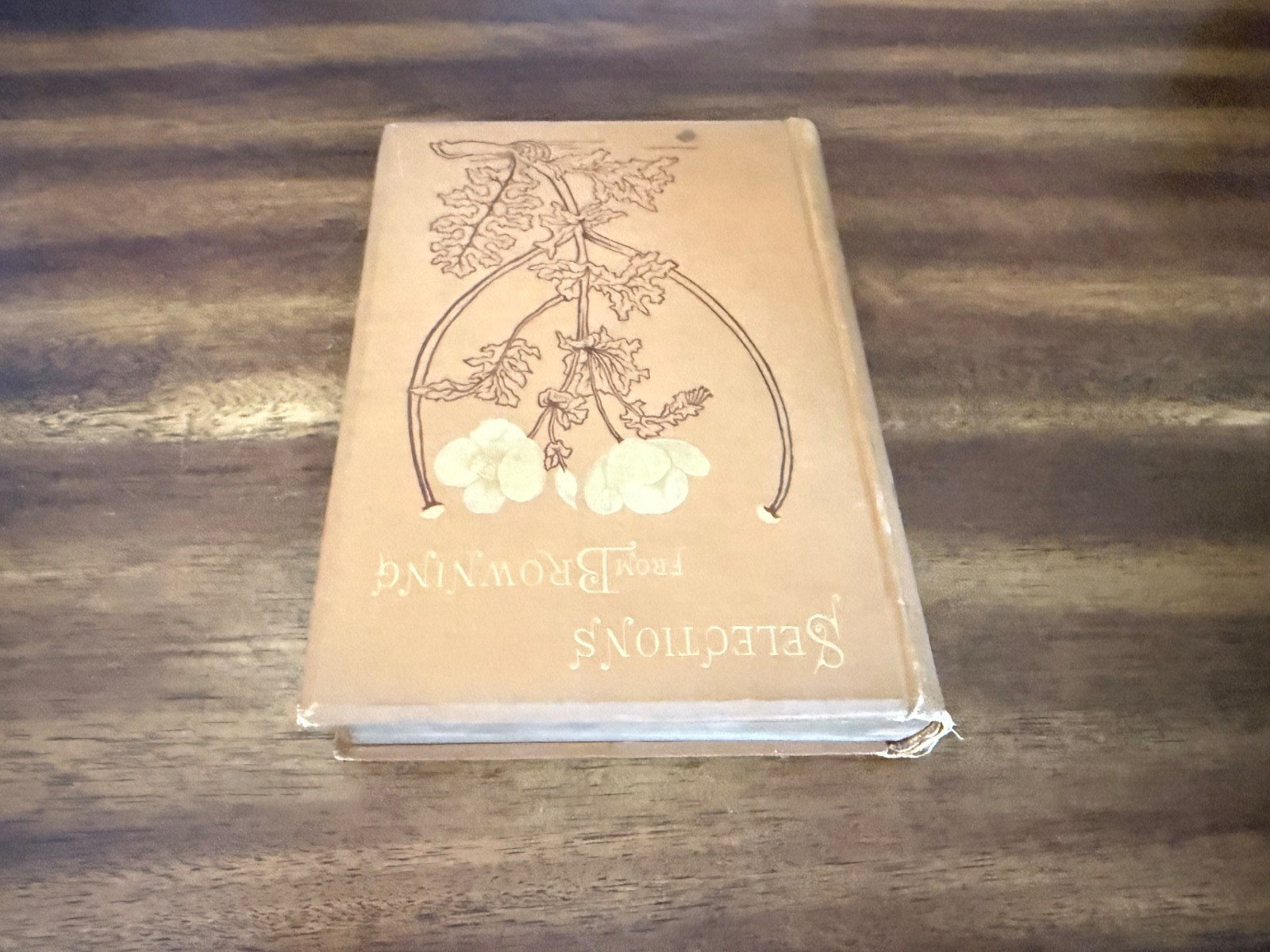 Selections from Browning by Robert Browning (1883, Vintage Hardcover)