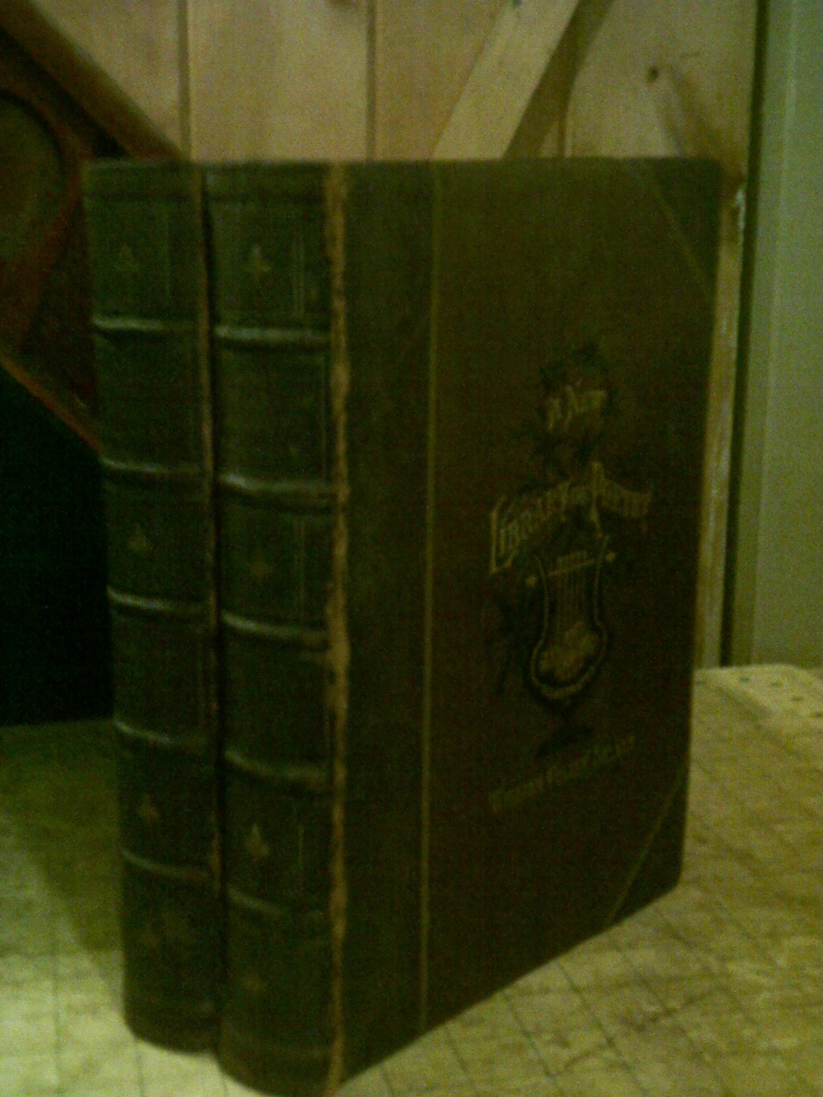 A NEW LIBRARY OF POETRY BY WILLIAM CULLEN BRYANT, 2 VOLUMES, 1877, LEATHERBOUND