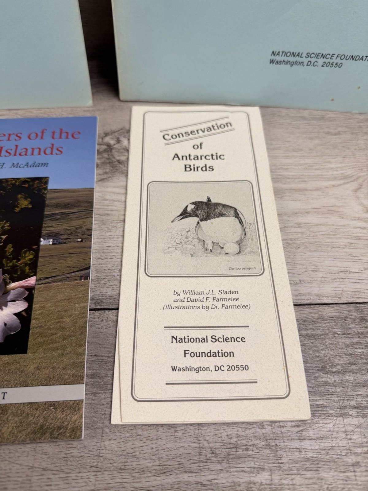 Antarctica Vintage 1990s Information Scientific News Wildlife Flowers Programs
