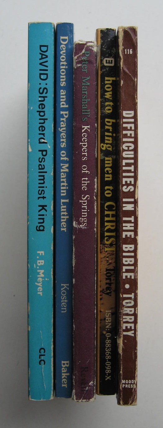 (5) DAVID ~ F. B. Meyer/ Peter Marshall/ Martin Luther/ 2 by R. A. Torrey – Y