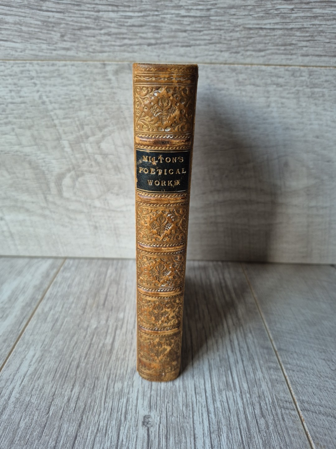 THE POETICAL WORKS OF JOHN MILTON illustrations William Harvey 1876