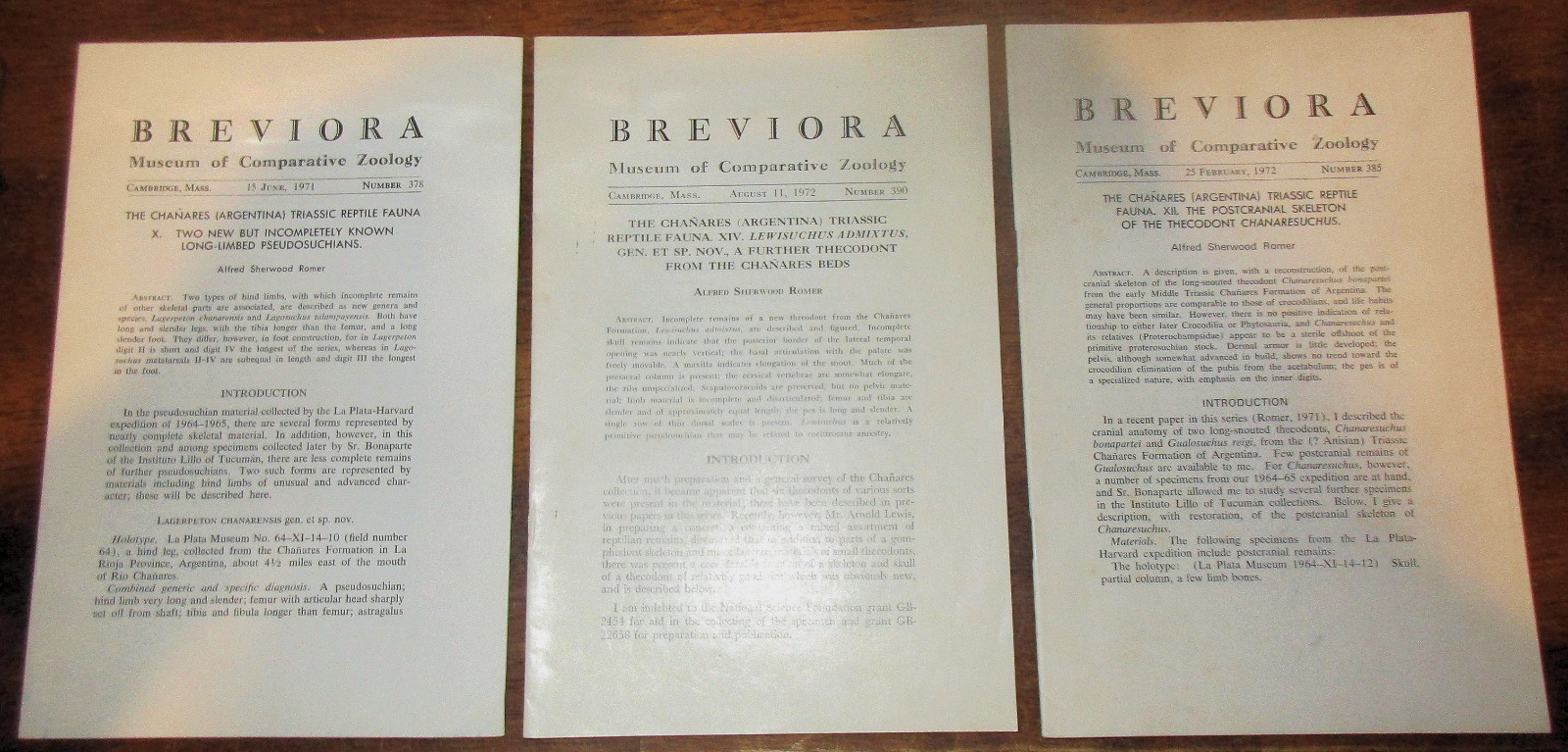 GEOLOGY PALEONTOLOGY TRIASSIC FOSSIL REPTILES 3 REPORTS A. S. ROMER ARGENTINA