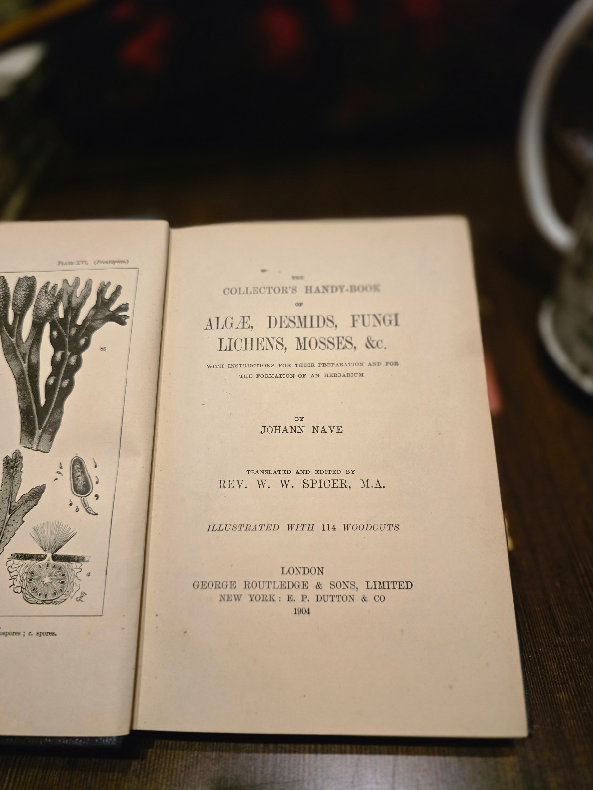 The Collector’s Handy-Book of Algae, Fungi, Lichens, Mosses by Johann Nave – …