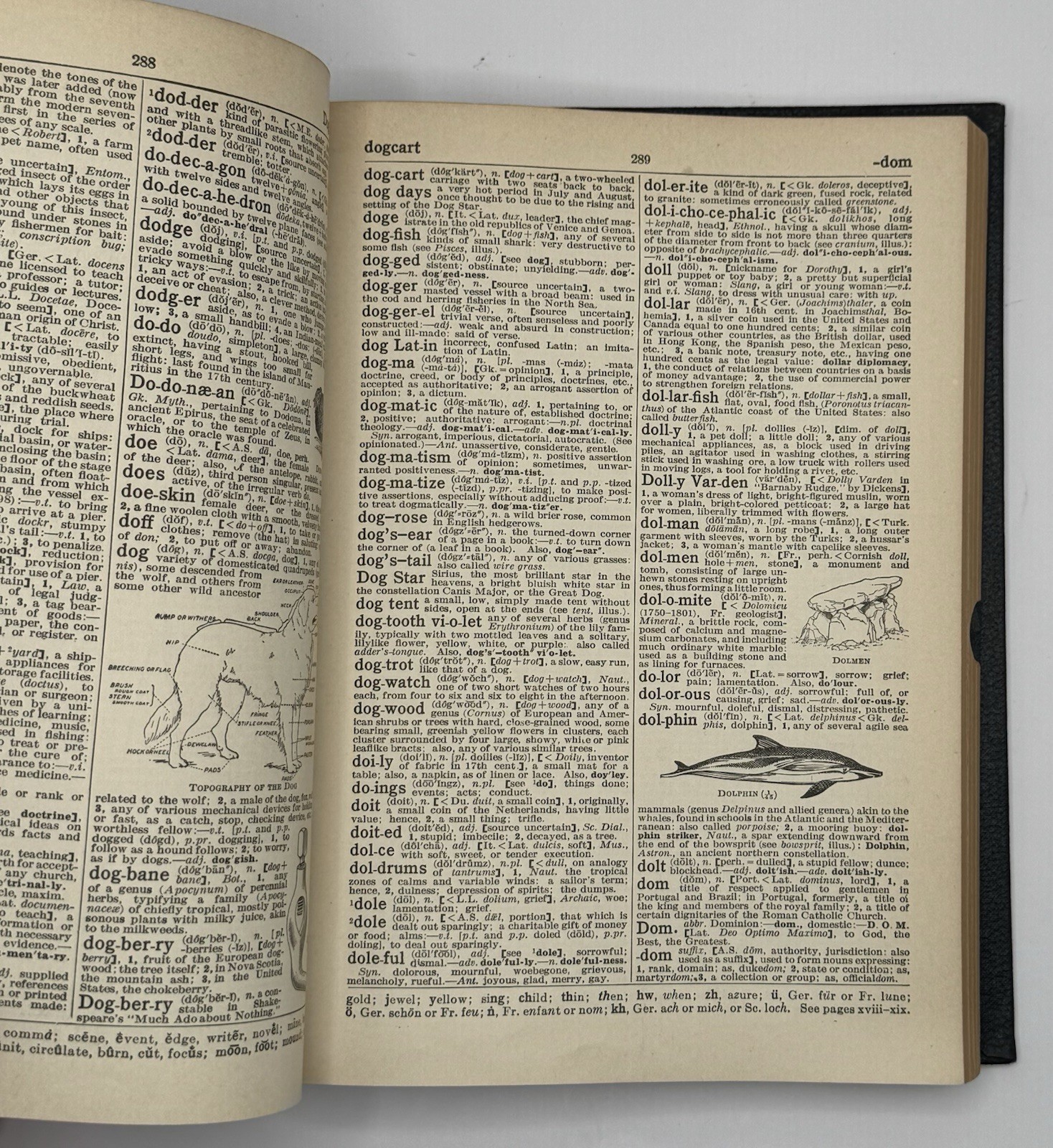 Winstons Cumulative Loose Leaf Encyclopedia Dictionary Book I & II 1920s Pair