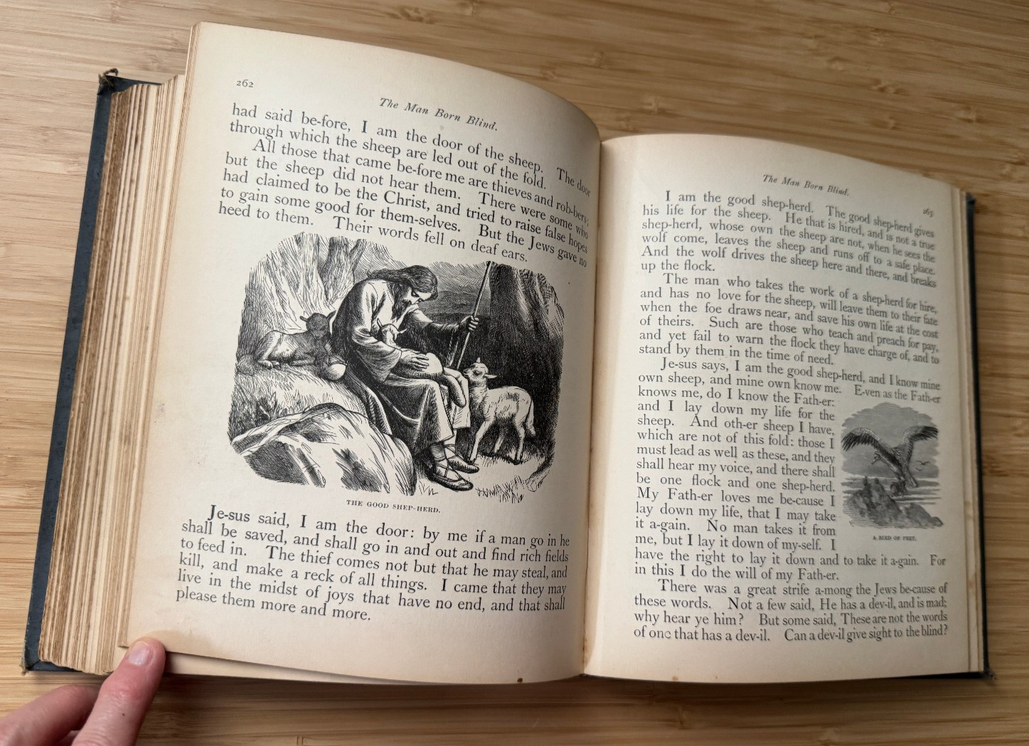 The Wonderful Story of Jesus 1890 200 Youth Children’s Christianity Art Bible