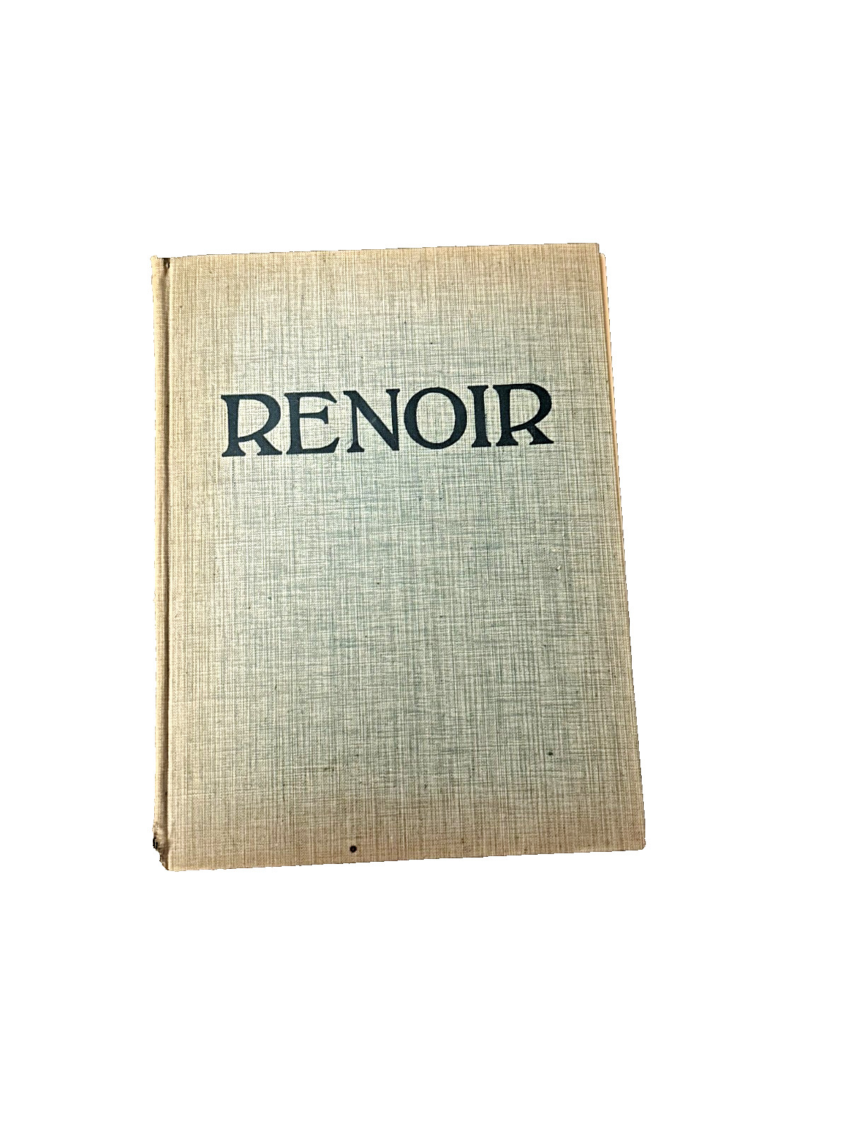 rare RENOIR vintage book art