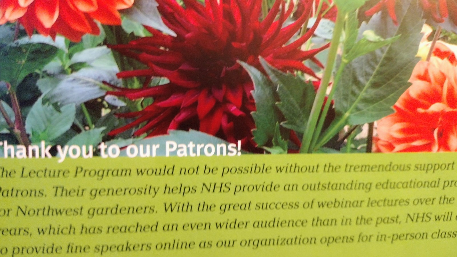 GARDENING NOTES ISSUE SUMMER 2022 NORTHWEST HORTICULTURAL SOCIETY