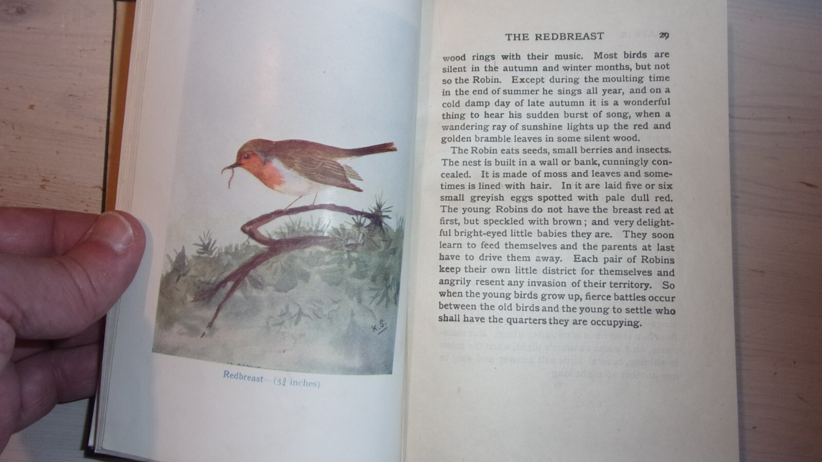 BIRDS by M.K.C. SCOTT, J.A.HENDERSON – 48 COLOURED PICTURES – T. NELSON – H/BACK