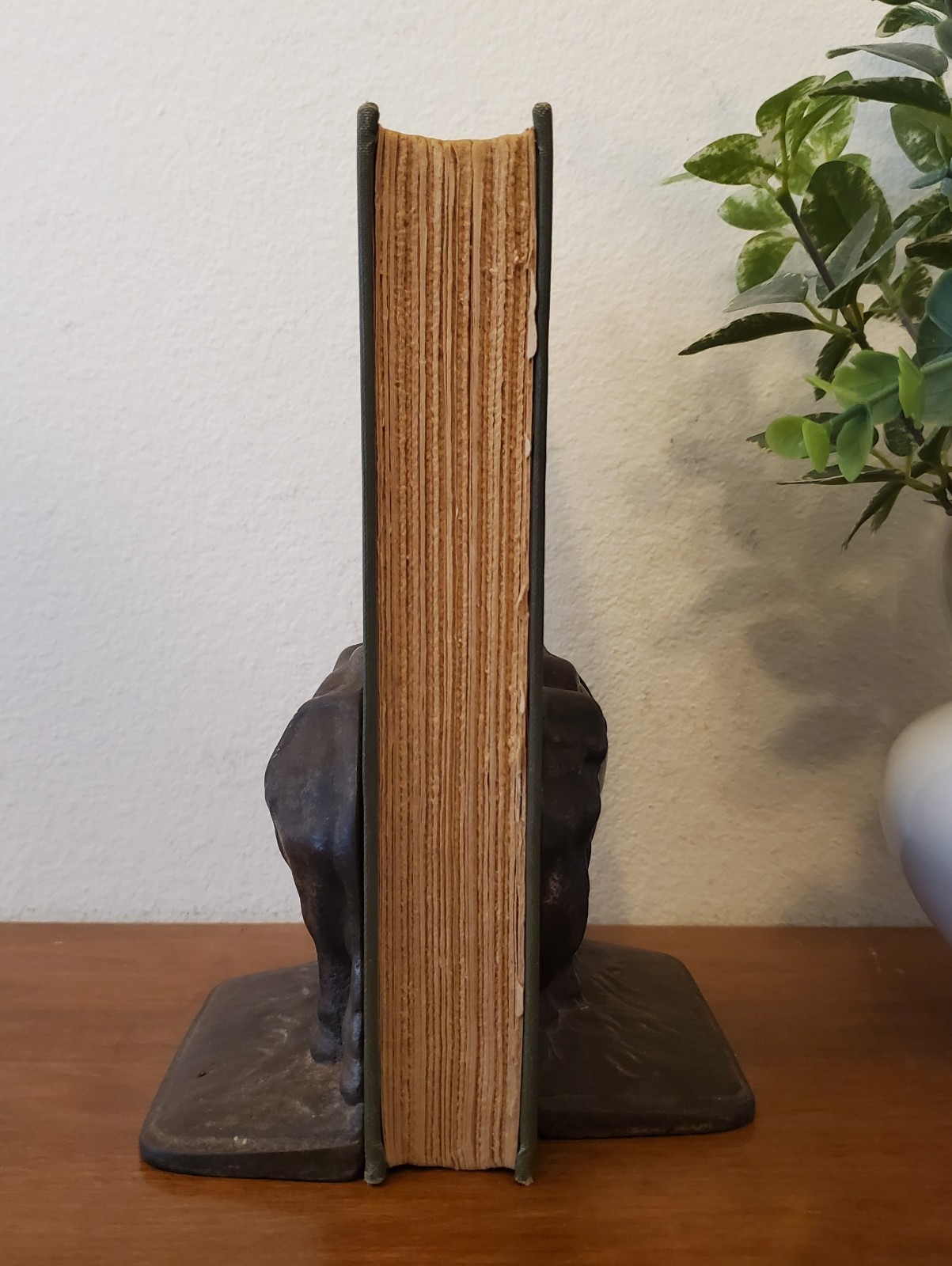 LOTHROP STODDARD The Rising Tide of Color White Supremacy HC TRUE 1st Ed!