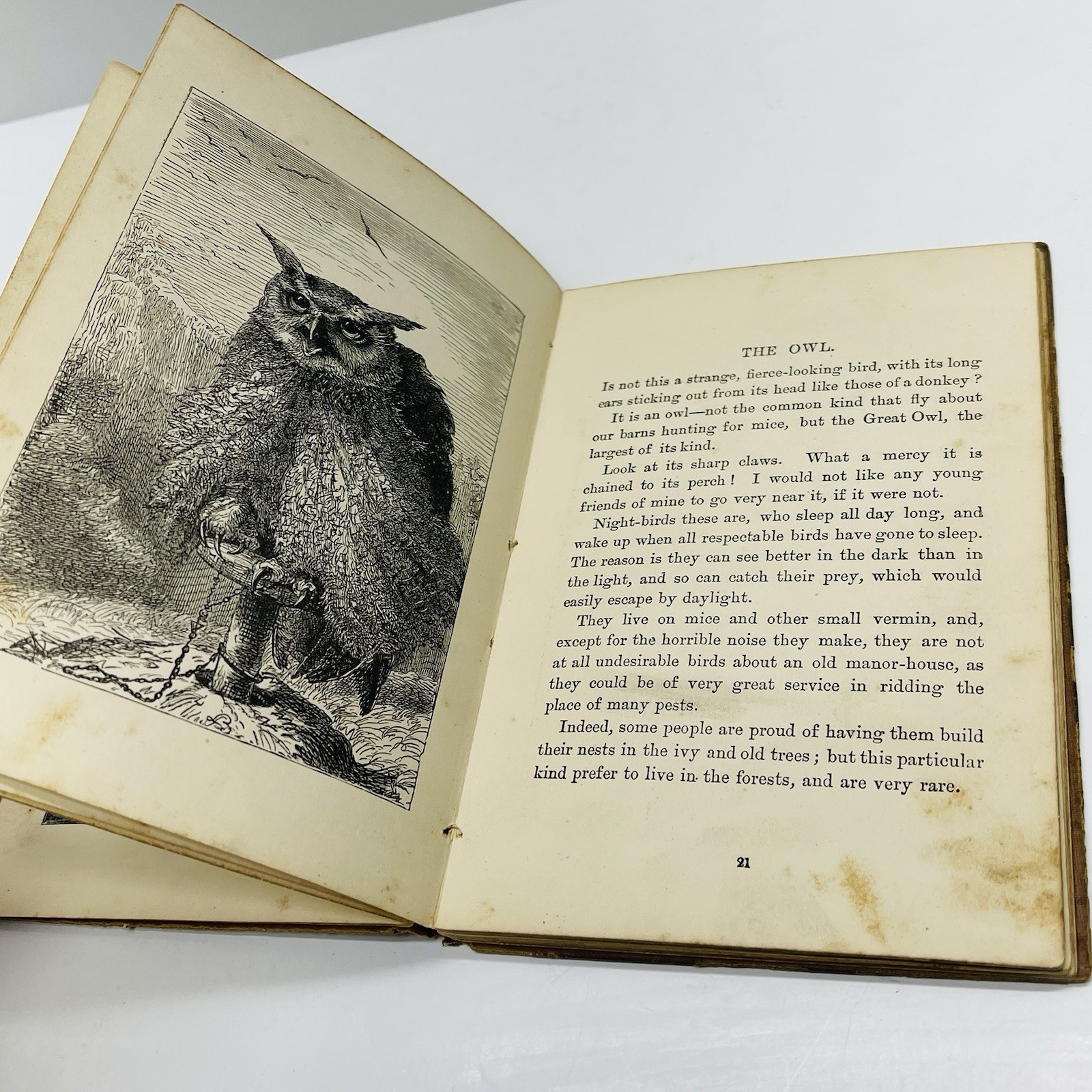 Pet’s Posy of Pictures & Stories 1800’s Antique Victorian Children’s Book HC