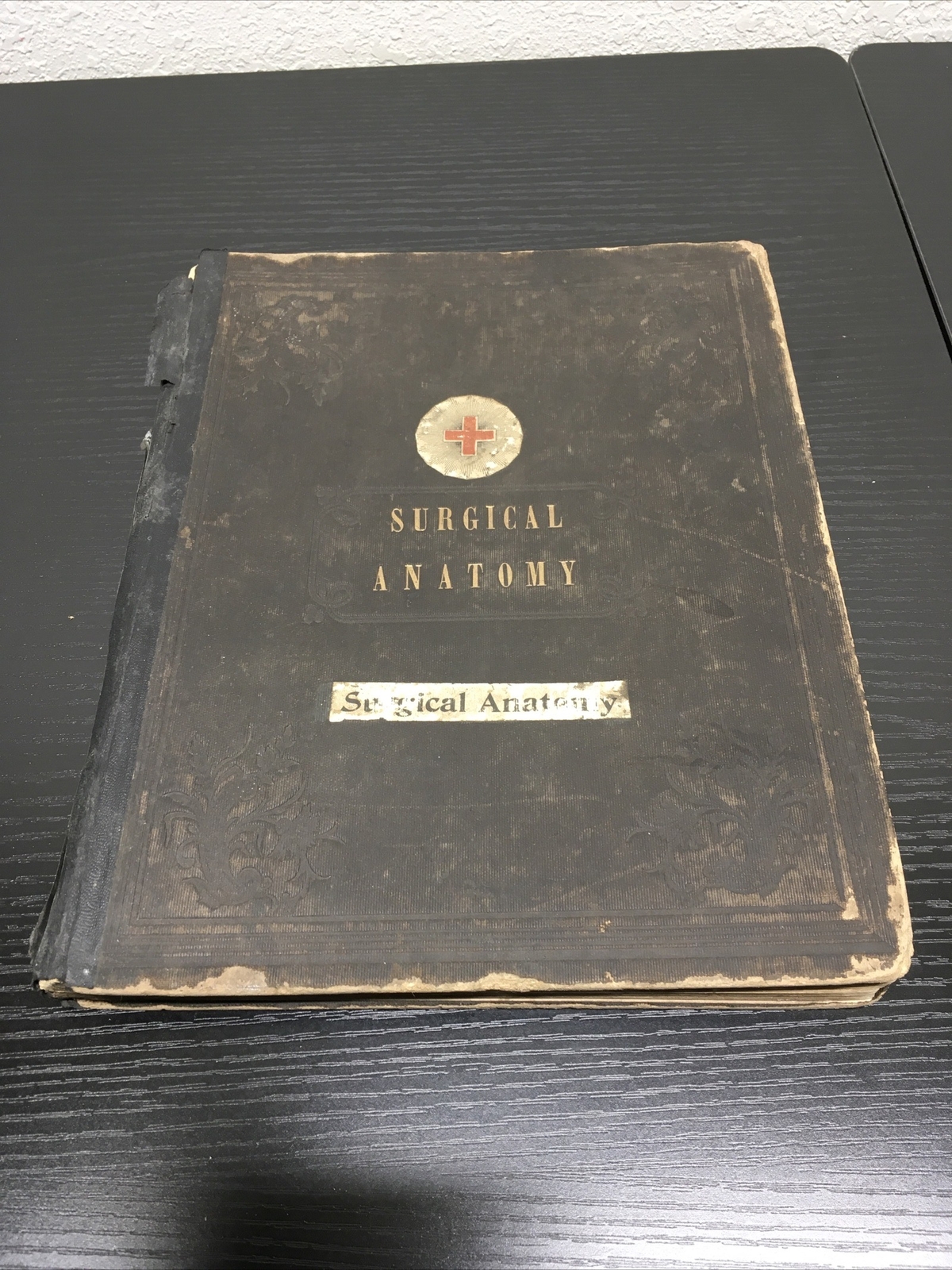 The Plates Of Maclise’s Surgical Anatomy Edited By Piper 1857 Illustrated In Oil