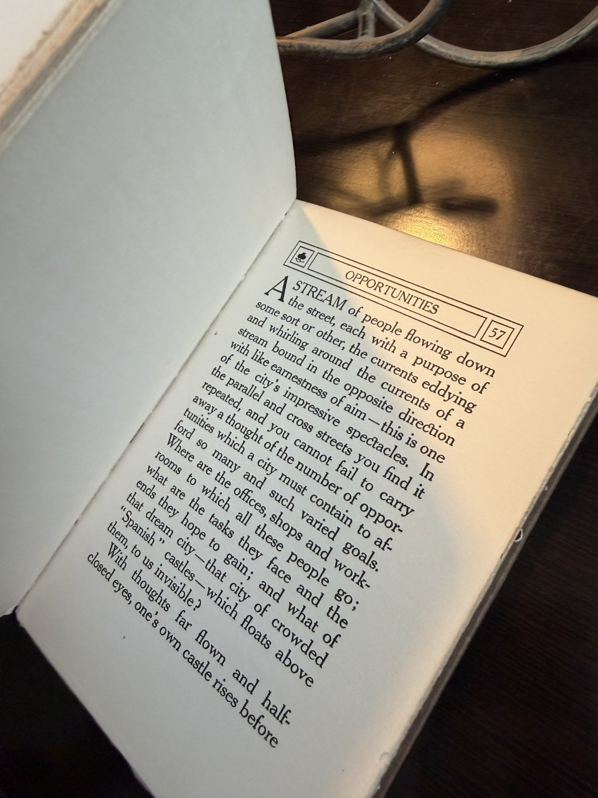 The Call of the City 1908 Charles Mulford Robinson Paul Elder Antique Book