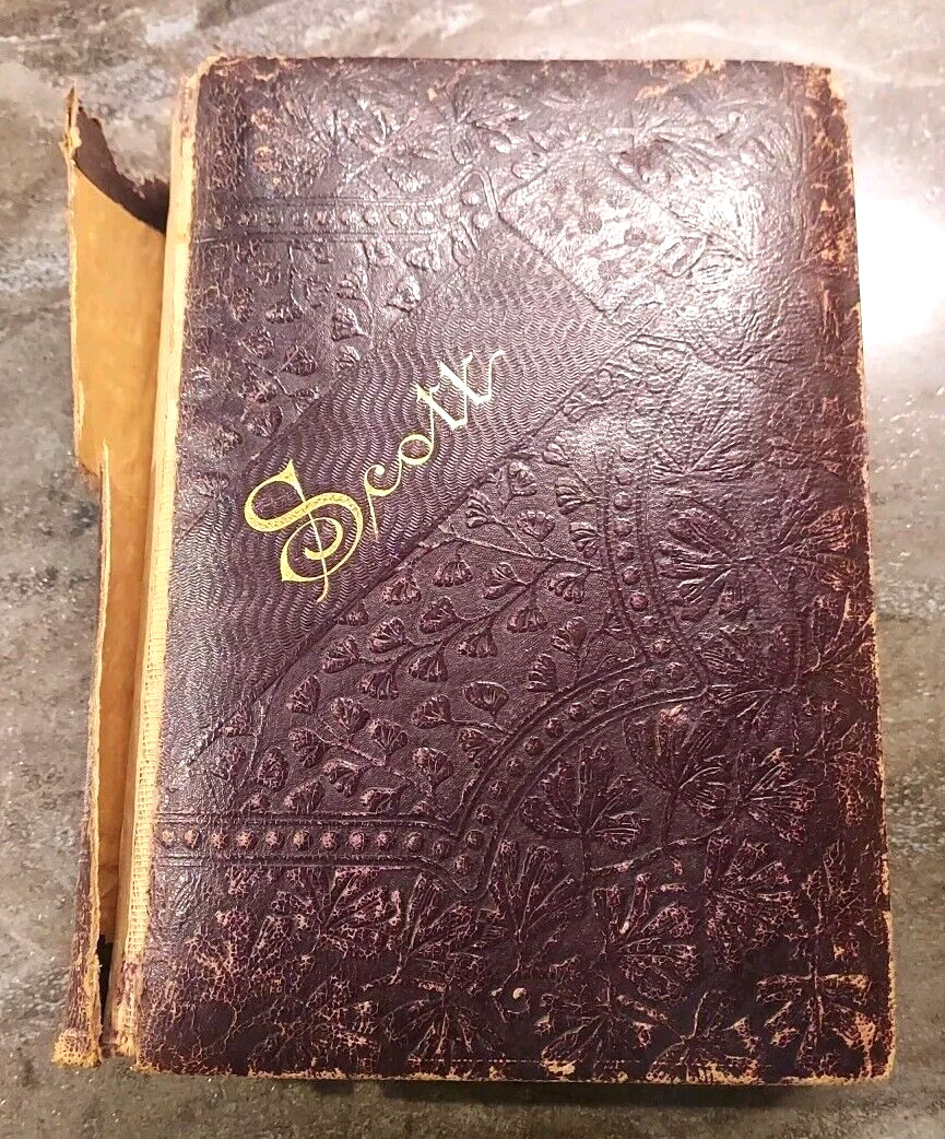 The Poetical Works Of Sir Walter Scott John W Lovell Co Leather 1882 New York