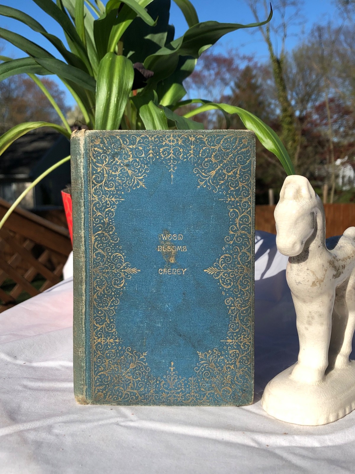 Wood Blooms John Vance Cheney Hard Back Third Edition 1888 Antique Book Nature
