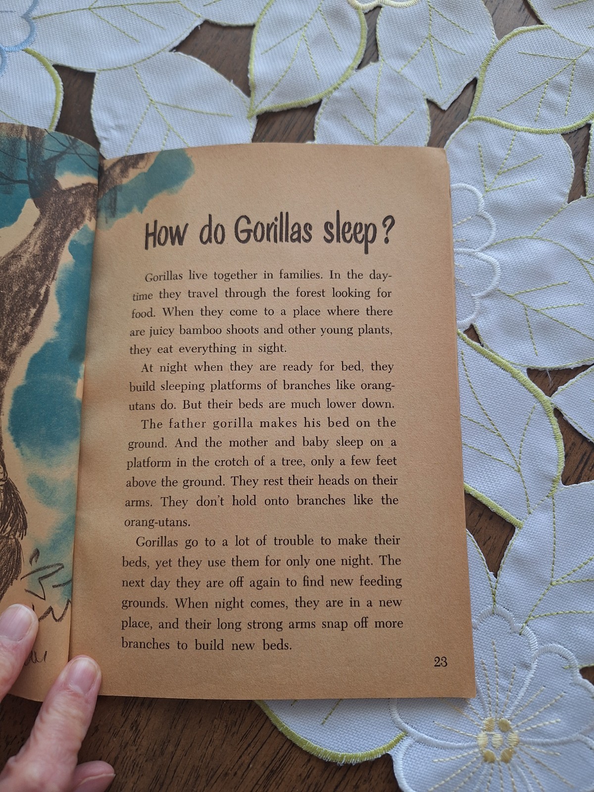 HOW ANIMALS SLEEP MILLICENT SELSAM SCHOLASTIC BOOKS EZRA JACK KEATS