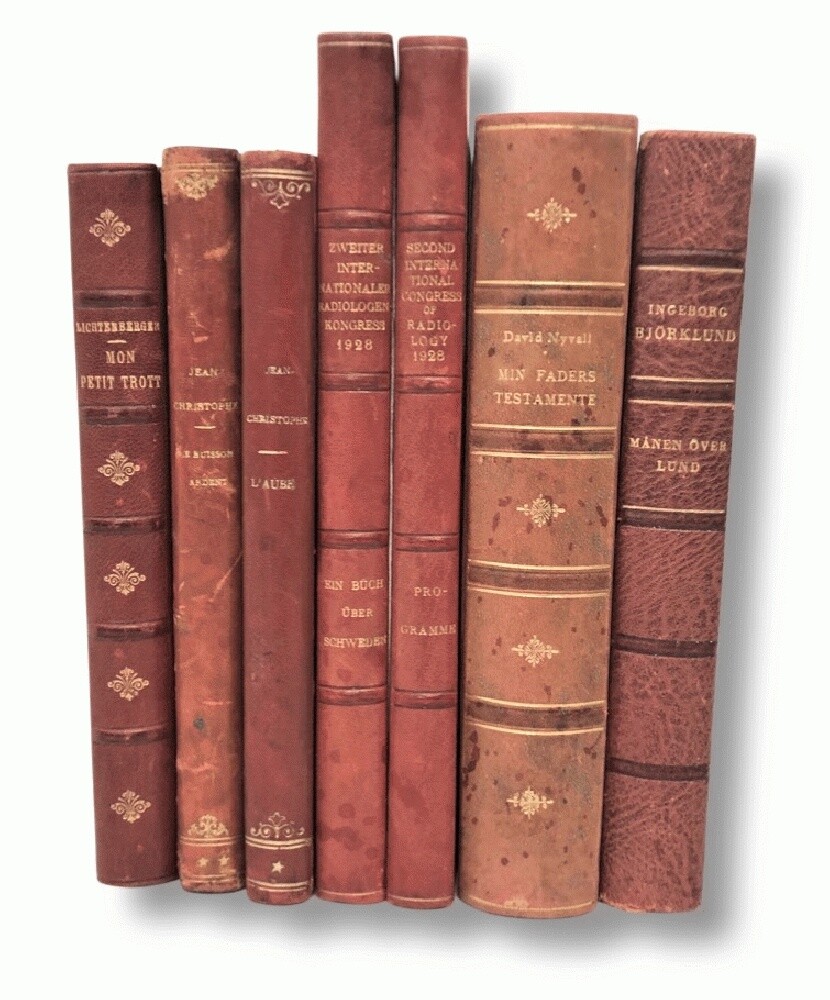 Lot of 7 Leather Decorataor in Swedish French English +2 Maps~Marbled